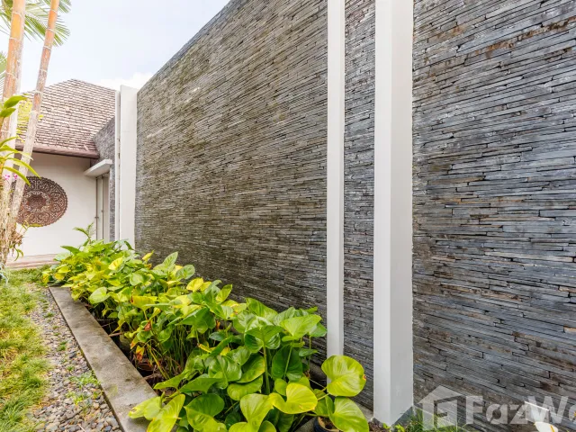 place photo 47