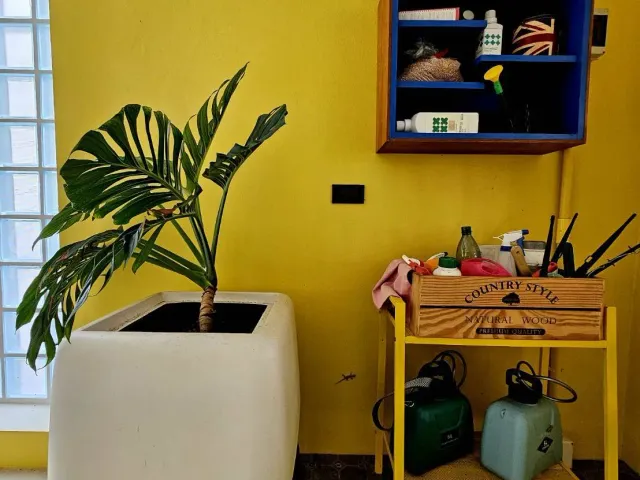 place photo 29