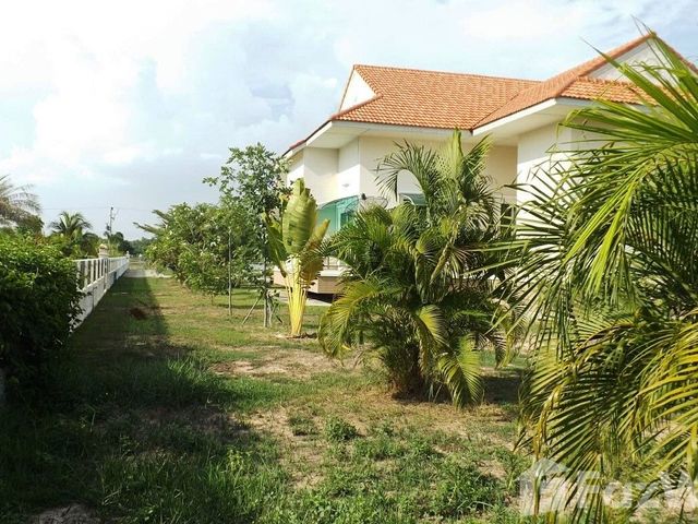 place photo 30