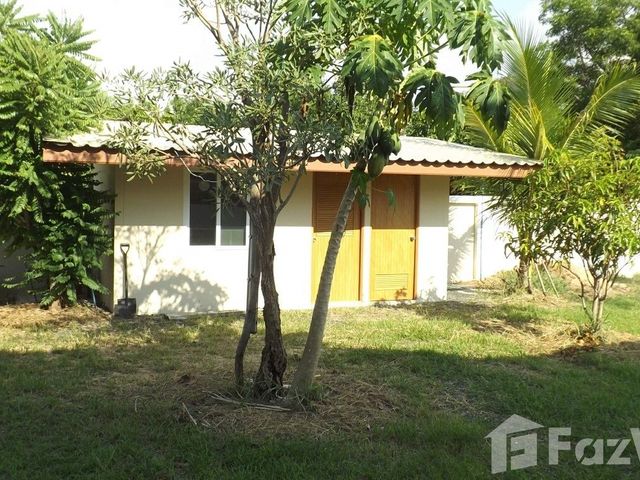place photo 31