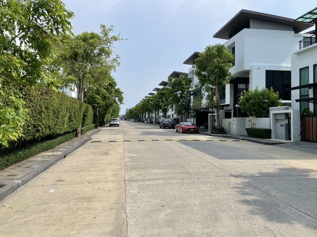 place photo 37