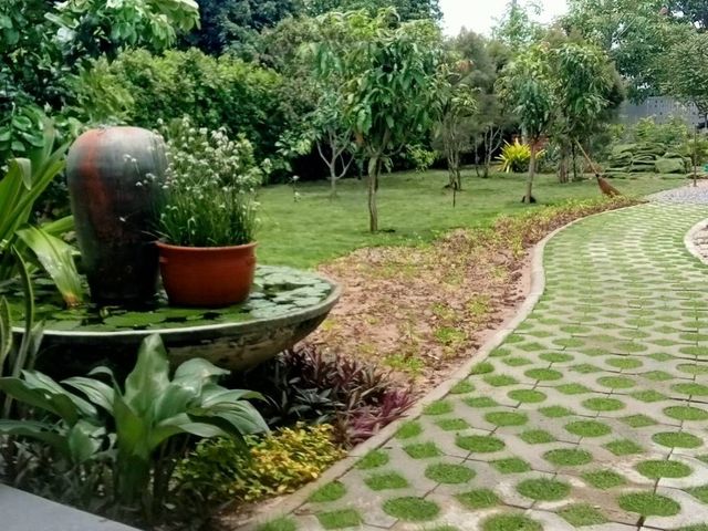 place photo 73