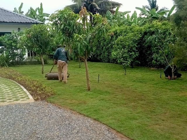 place photo 76