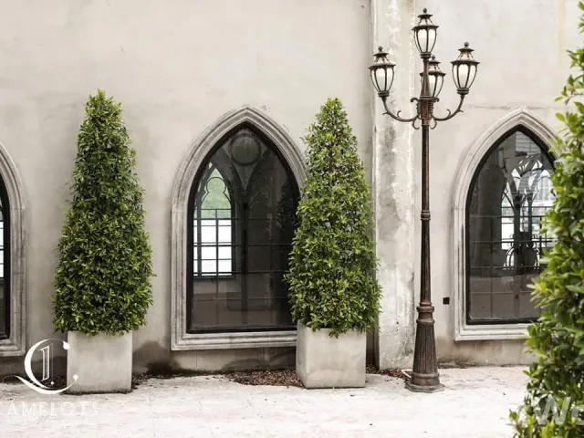 place photo 36