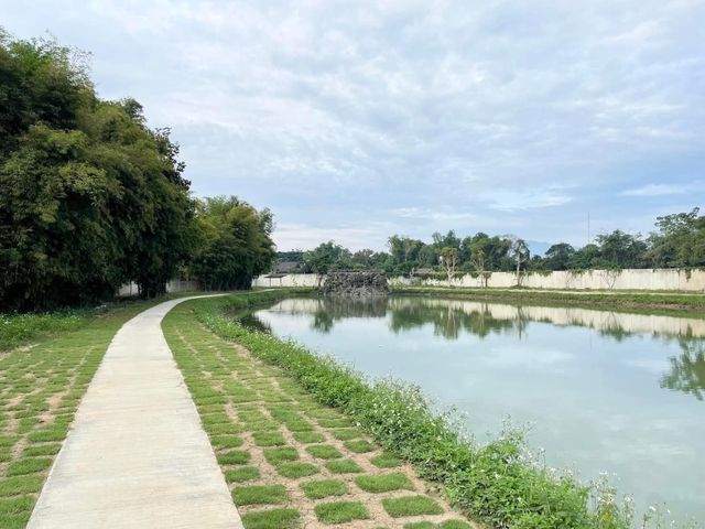place photo 19