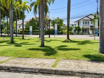 place photo 34
