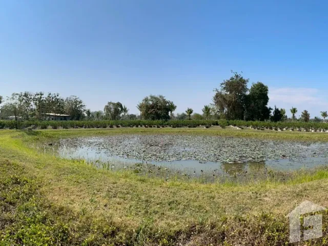 place photo 45