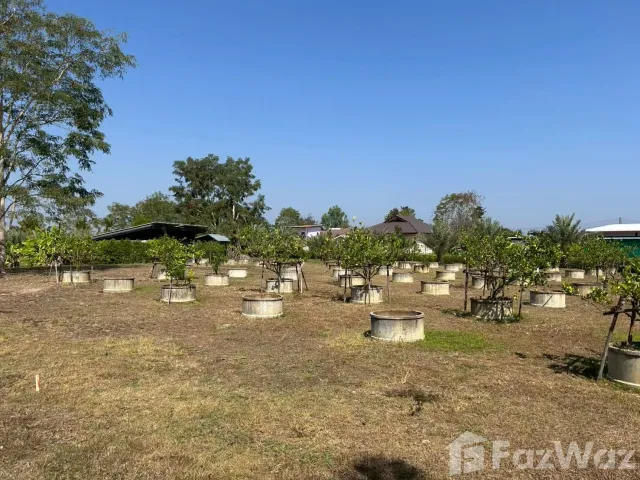 place photo 38
