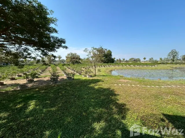 place photo 32