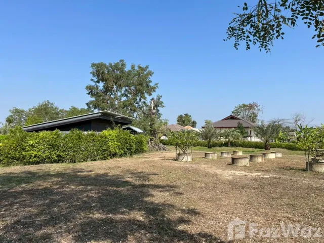 place photo 43