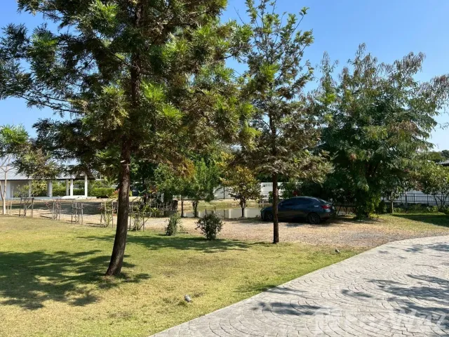 place photo 58