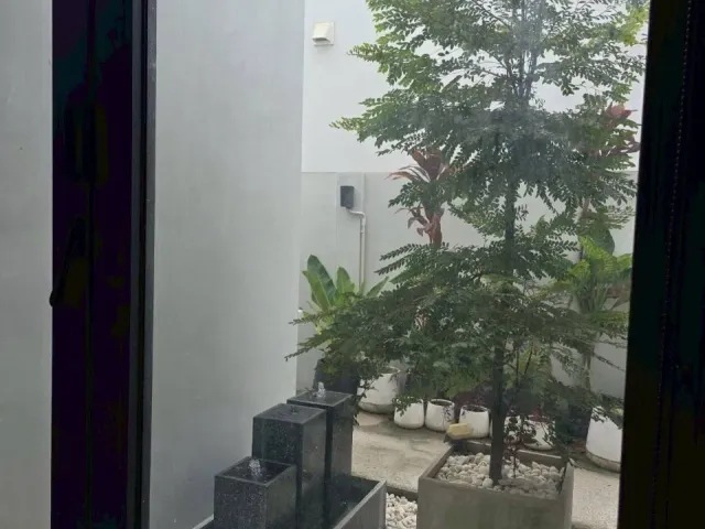 place photo 81