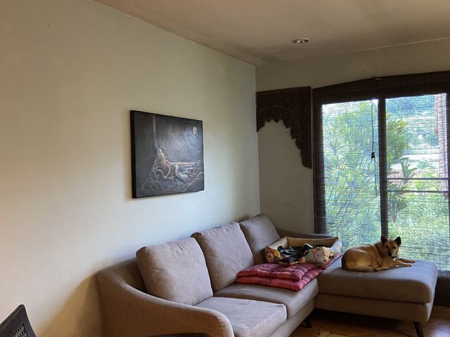 place photo 49