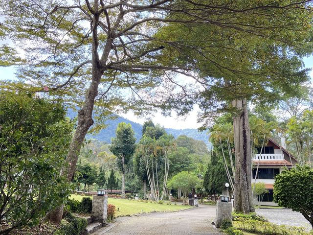 place photo 61