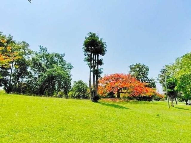 place photo 28
