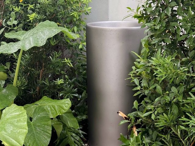 place photo 51