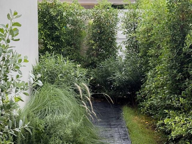 place photo 52