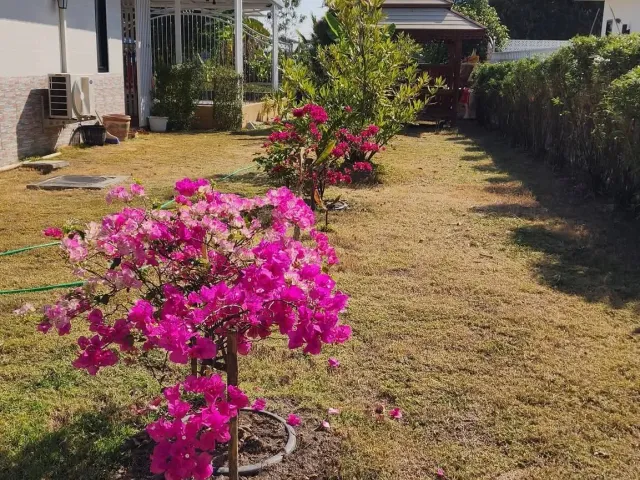 place photo 23