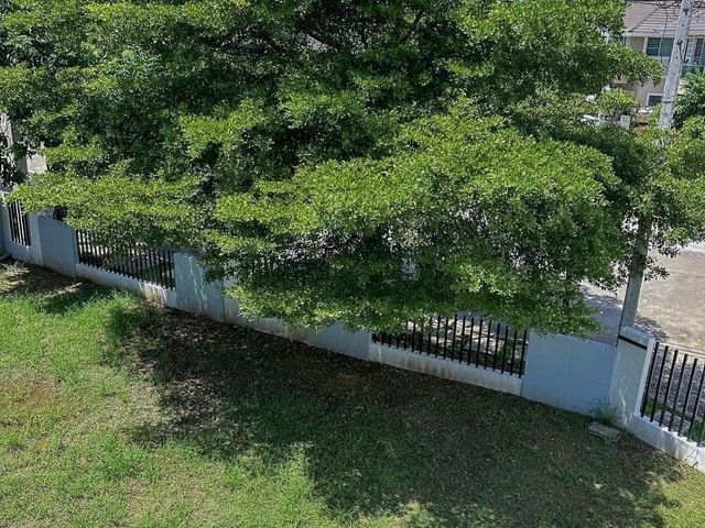 place photo 30