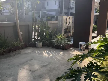 place photo 33