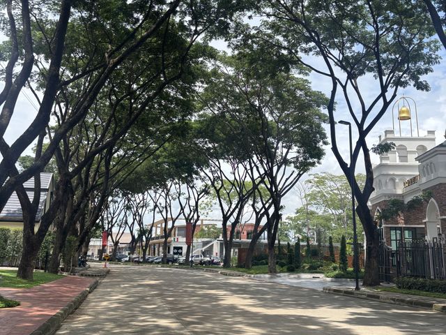 place photo 31