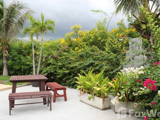 place photo 38