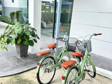 place photo 38