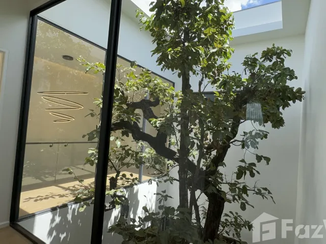 place photo 87