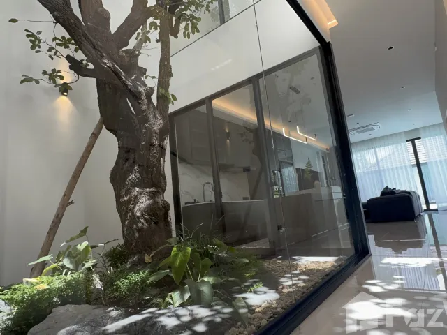 place photo 46