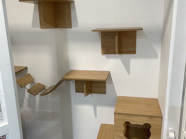 place photo 45