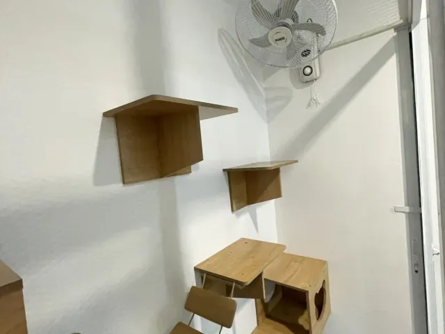 place photo 38