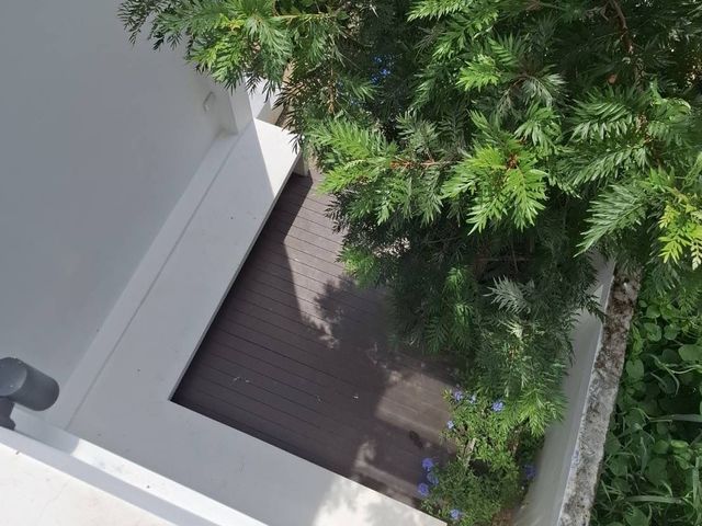 place photo 56