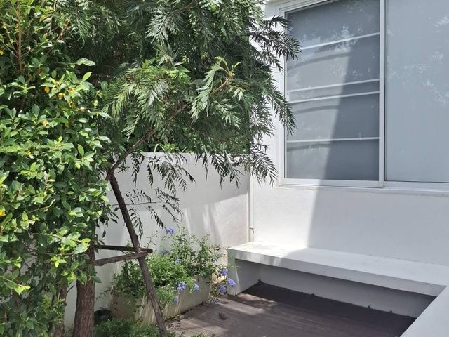 place photo 52