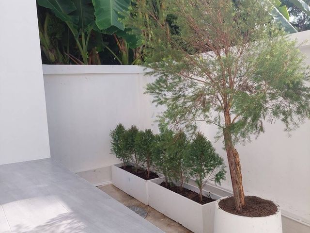 place photo 34