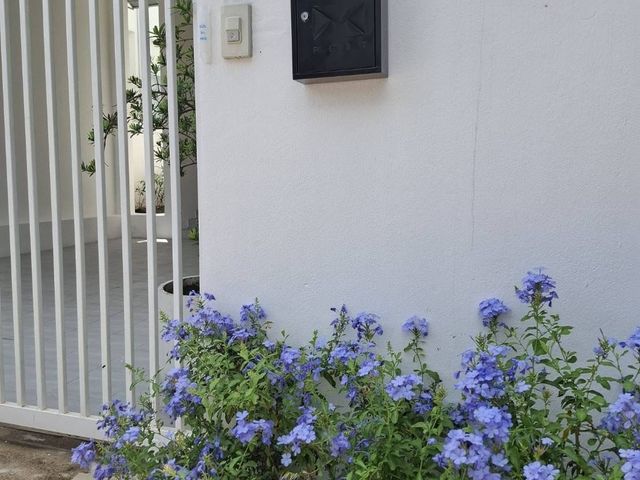 place photo 46