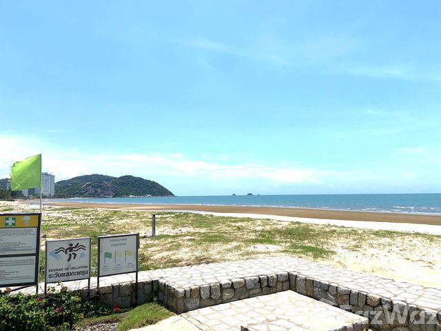 place photo 41