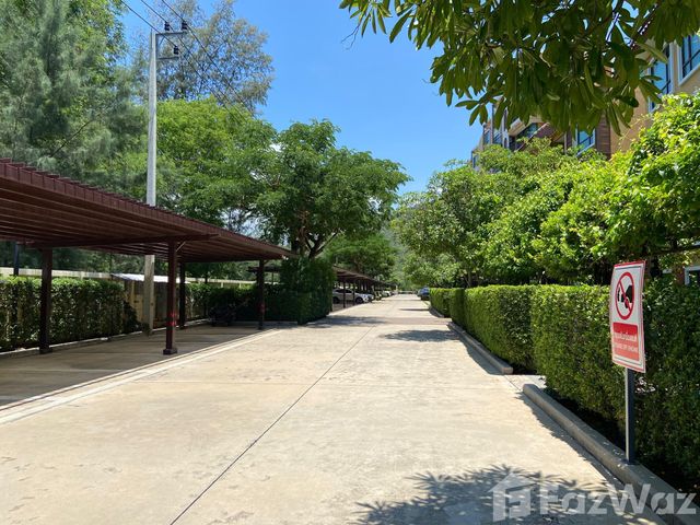 place photo 58