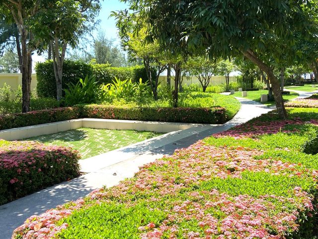 place photo 31