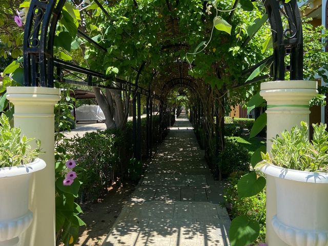 place photo 56