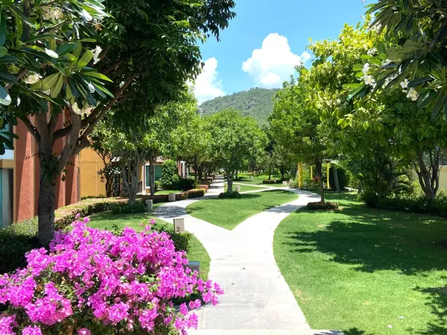 place photo 34