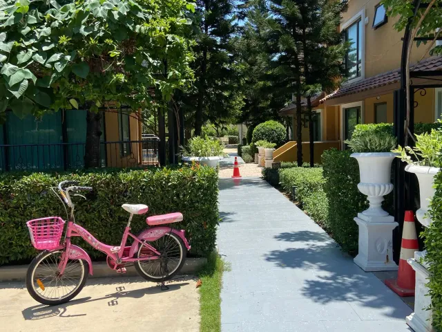 place photo 61