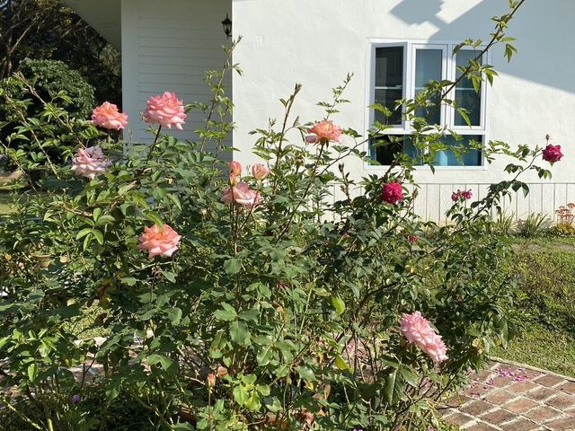 place photo 21