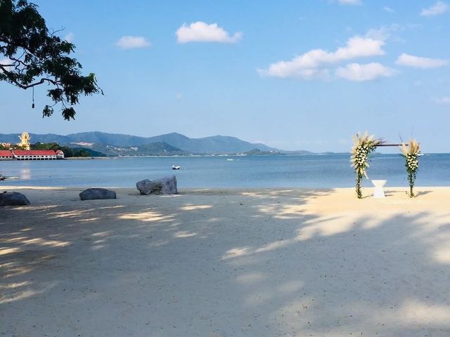 place photo 41