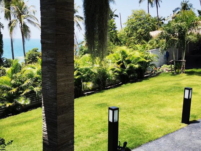 place photo 43