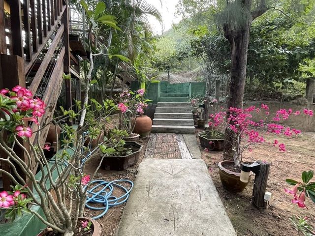 place photo 38