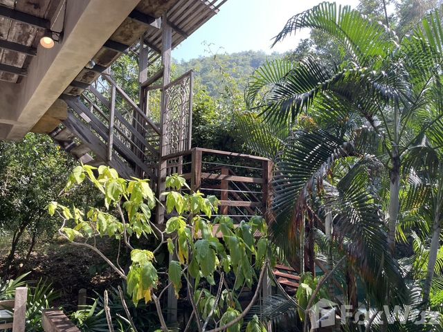 place photo 41
