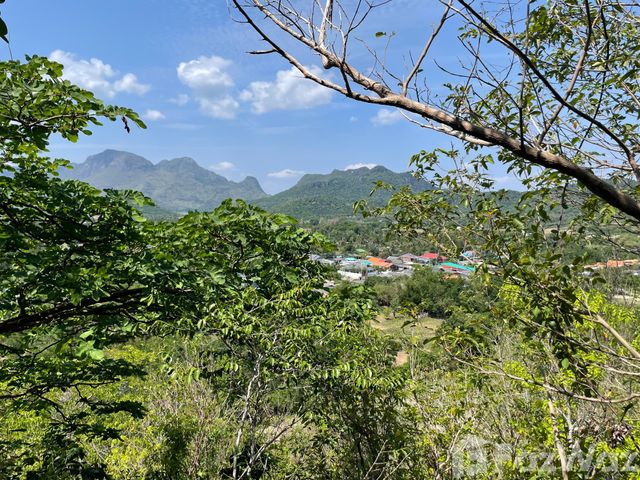place photo 65