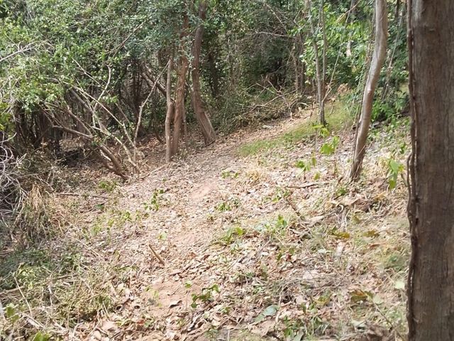 place photo 62