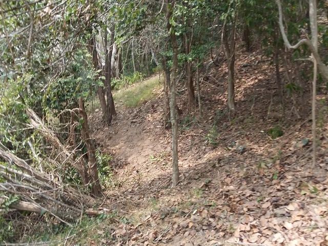 place photo 63