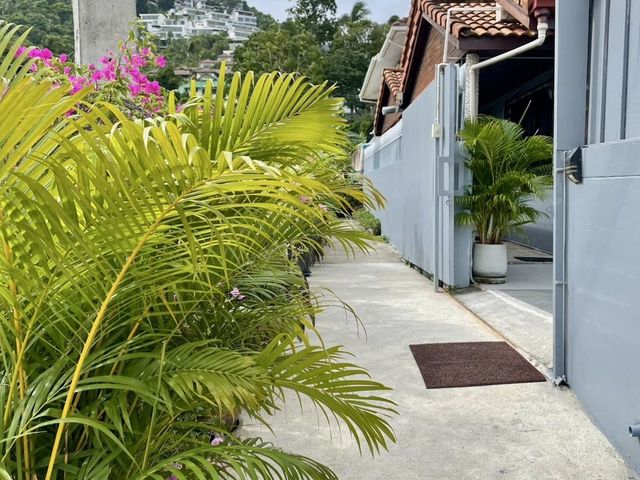 place photo 34